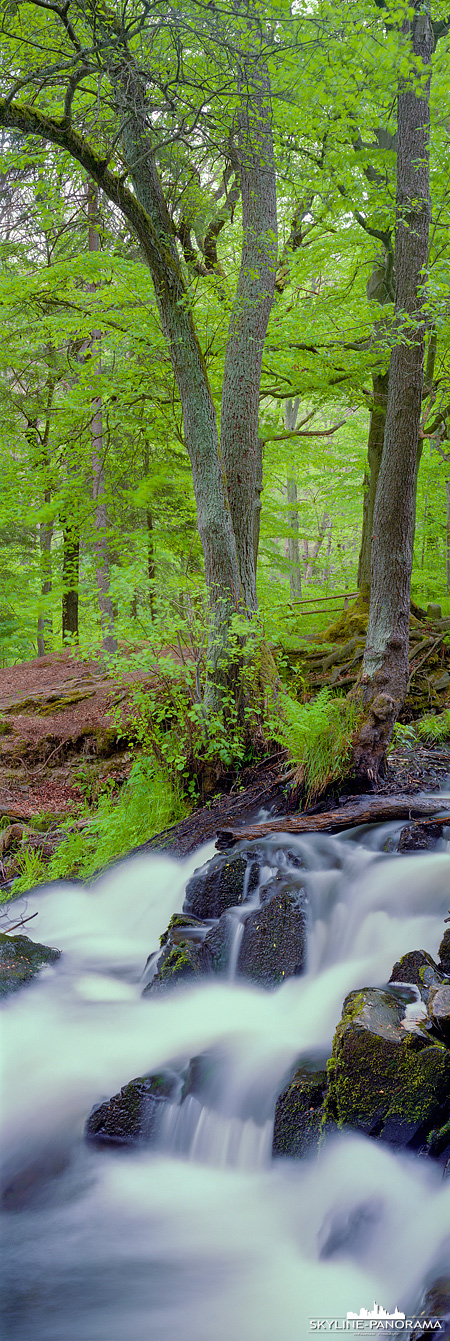 Panorama aus dem Harz in Sachsen Anhalt - Selketal bei Alexisbad - Der Selkewasserfall als hochkant Panorama im Format 6x17.