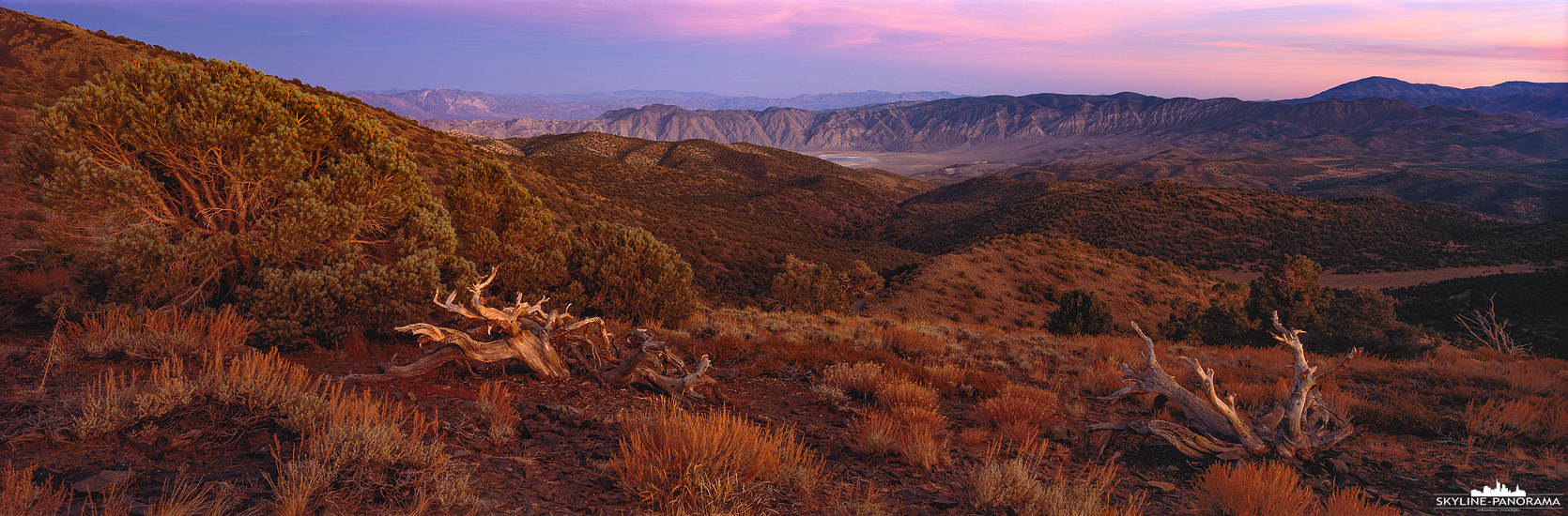 Über dem Owens Valley, in 3000m befindet sich der Ancient Bristlecone Pine Forest in den White Mountains von Kalifornien. Hier der Bblick ins Deep Springs Valle