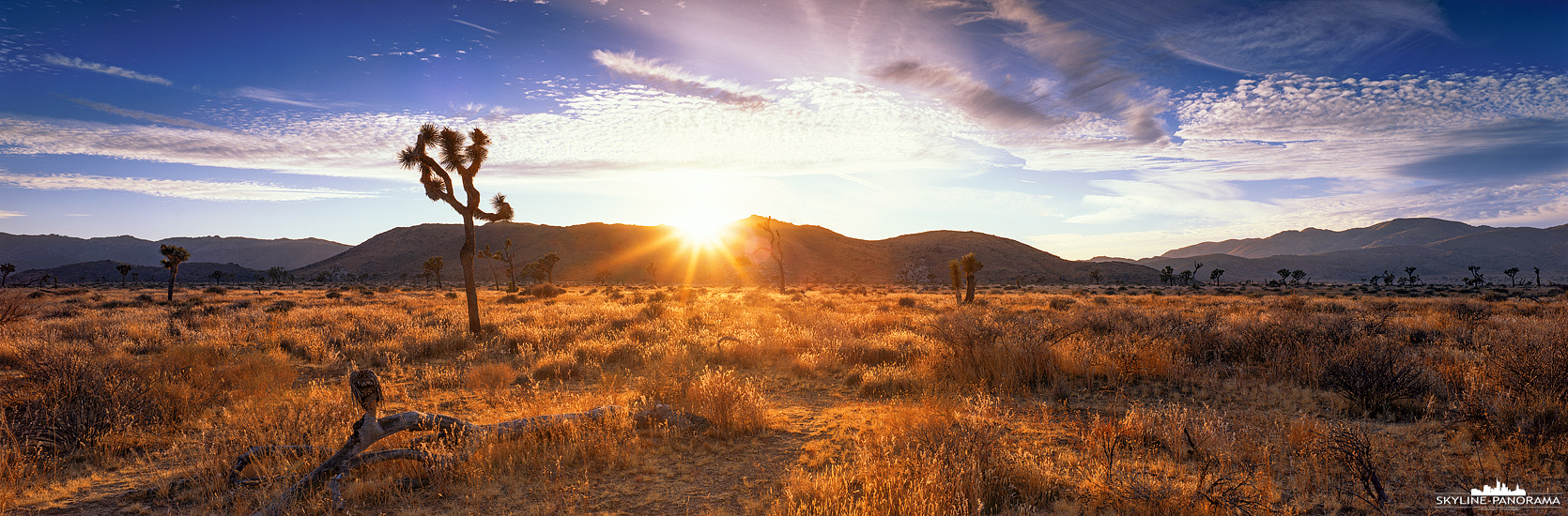 Sunset Panorama - Die Landschaft im Joshua Tree Nationalpark (Kalifornien) wird in diesem 6x17 Panorama in das warme Licht der untergehenden Sonne getaucht.