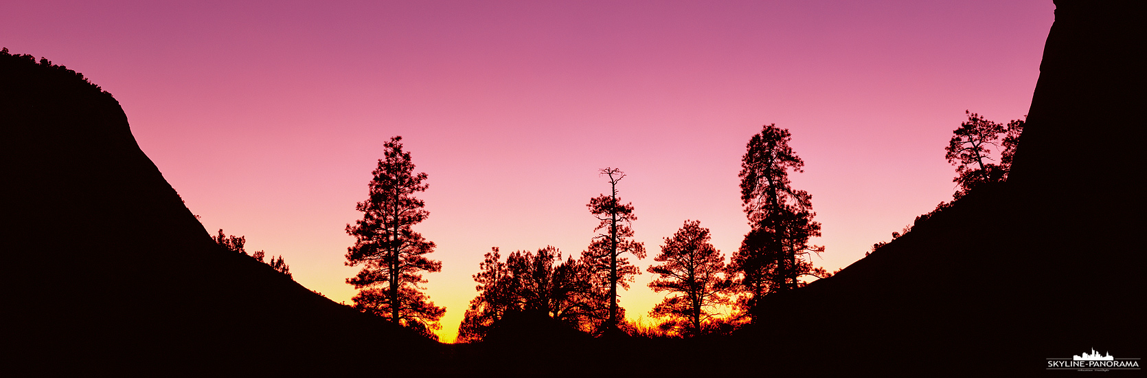 Silhouette von Bäumen - Unterwegs im Ostteil des Zion, kurz vor dem Ausgang, am letzten Parkplatz des Nationalparks entstand diese Sunset Silhouette im 6x17 Panoramaformat.