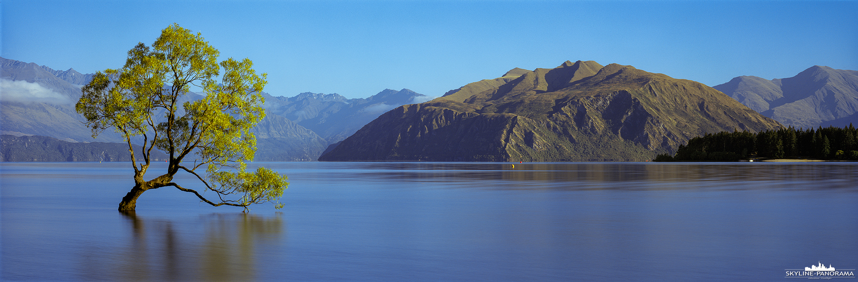 Neuseeland Panorama - Der bekannteste Baum von Neuseeland ist der, meist im Wasser des Lake Wanaka stehende, Baum, der weltweit unter der Bezeichnung "That Wanaka Tree" bekannt ist. Dies gilt zumindest für Landschaftsfotografen, die wie ich, extra für dieses Bild an den Lake Wanaka gereist sind.