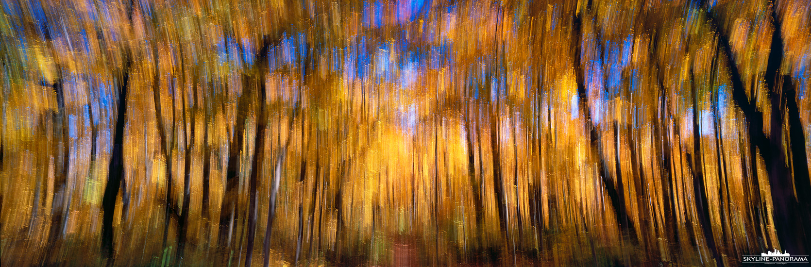 Herbstfarben Panorama - Unterwegs in einem Ahornwald im kanadischen Indian Summer, in diesem Panorama wurden die Herbstfarben etwas abstrakt festgehalten.