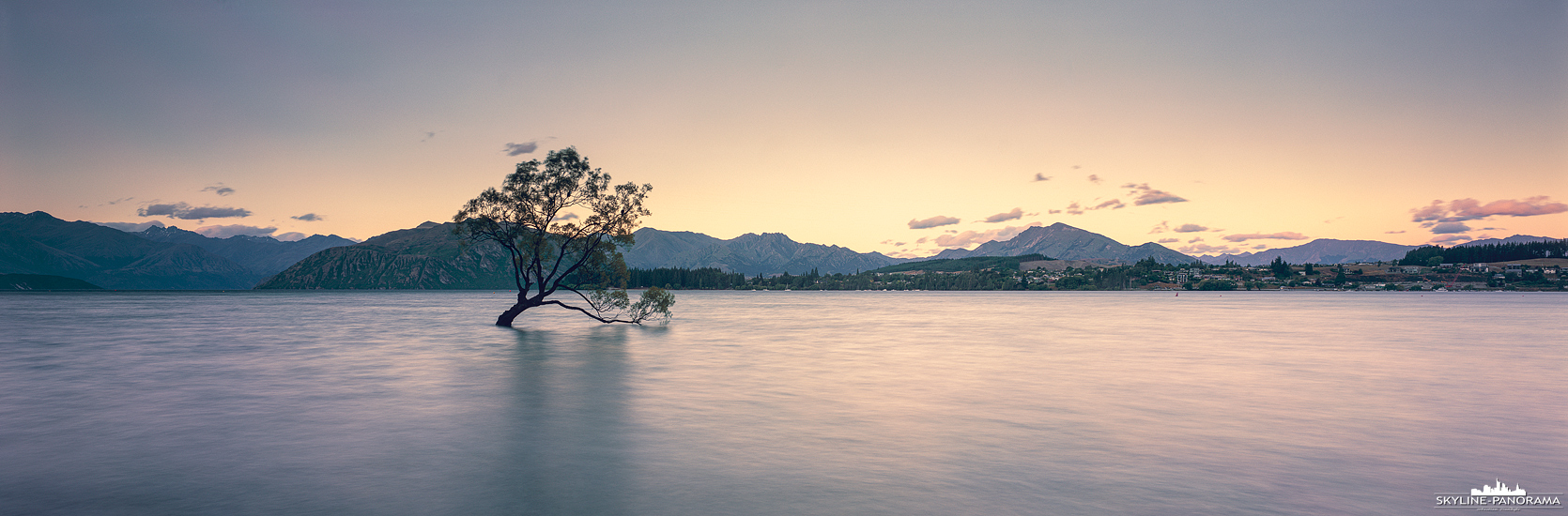 6x17 Panorama Neuseeland - Der berühmte einsame Baum vom Lake Wanaka auf der Südinsel von Neuseeland, ist hier noch in seiner urspünglichen Schönheit zu sehen. Mittlerweile wurde der Wanaka Tree leider an einem Ast beschädigt, wodurch er etwas von seinem malerischen Aussehen verloren hat.