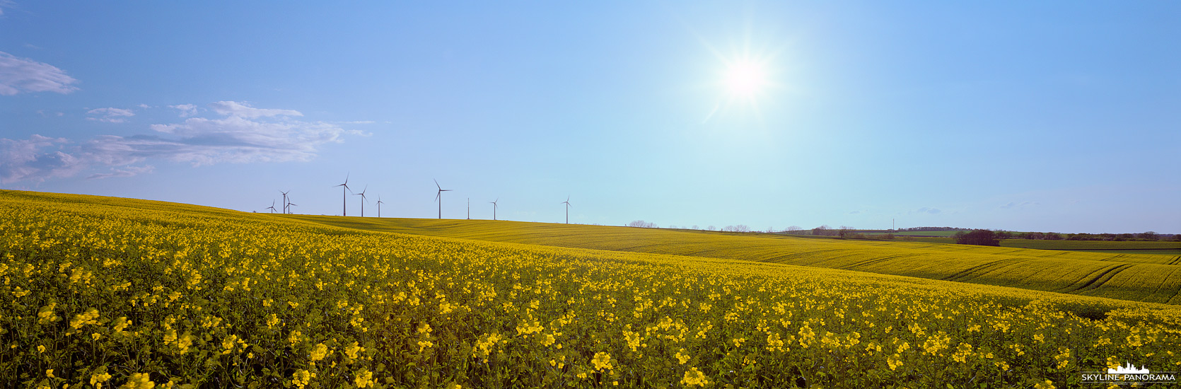 Das 6x17 Panorama entstanden am Rand eines Rapsfeldes, einige Windrädern sind im Hintergrund zu sehen. Die Aufnahme entstand in der Landschaft des Südharzes, zwischen Aschersleben und Mehringen.