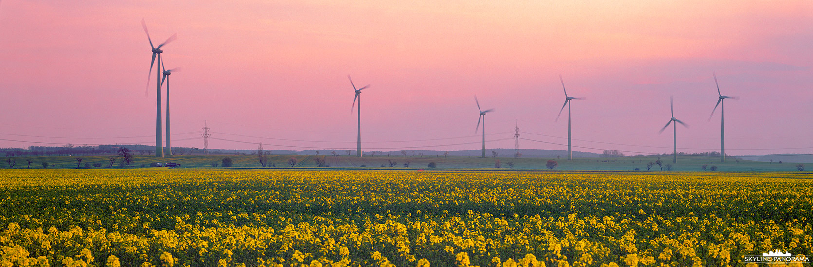 Panorama Energiewende – Zum Thema erneuerbare Energien; ein Rapsfeld mit einigen Windrädern im Harzvorland während des Sonnenuntergangs, im Hintergrund ist eine Hochspannungsleitung zu sehen.