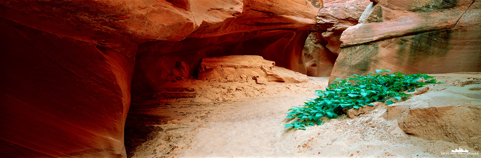 Eine beeindruckende Erfahrung war die Wanderung durch den Slot Canyon des Waterholes Canyon in Page Arizona. Er ist nicht so bekannt wie der nur wenige Kilometer entfernte Antilope Canyon, jedoch weniger überlaufen und dadurch sehr sehenswert. Zu dem Zeitpunkt meines Besuches hatte man die Gelegenheit eine Einzelführung ohne Zeitlimit zu buchen. Sogar etwas Grün konnte man auf der Tour in dem staubigen Wüstenboten des Slot Canyons erblicken. Scheinbar ist es schon einige Zeit her, als die letzten Wassermassen durch den Waterhole Canyon gelaufen sind. 