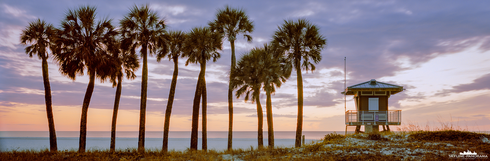 Panorama Florida - Eine Gruppe von Palmen zusammen mit einem Rettungsschwimmerturm am am Coquina Beach in Bradenton Beach/ Florida. Das Panorama ist kurz nach einem perfekten Sonnenuntergang entstanden und im Format 6x17 auf Kodak Portra 160 Film festgehalten.