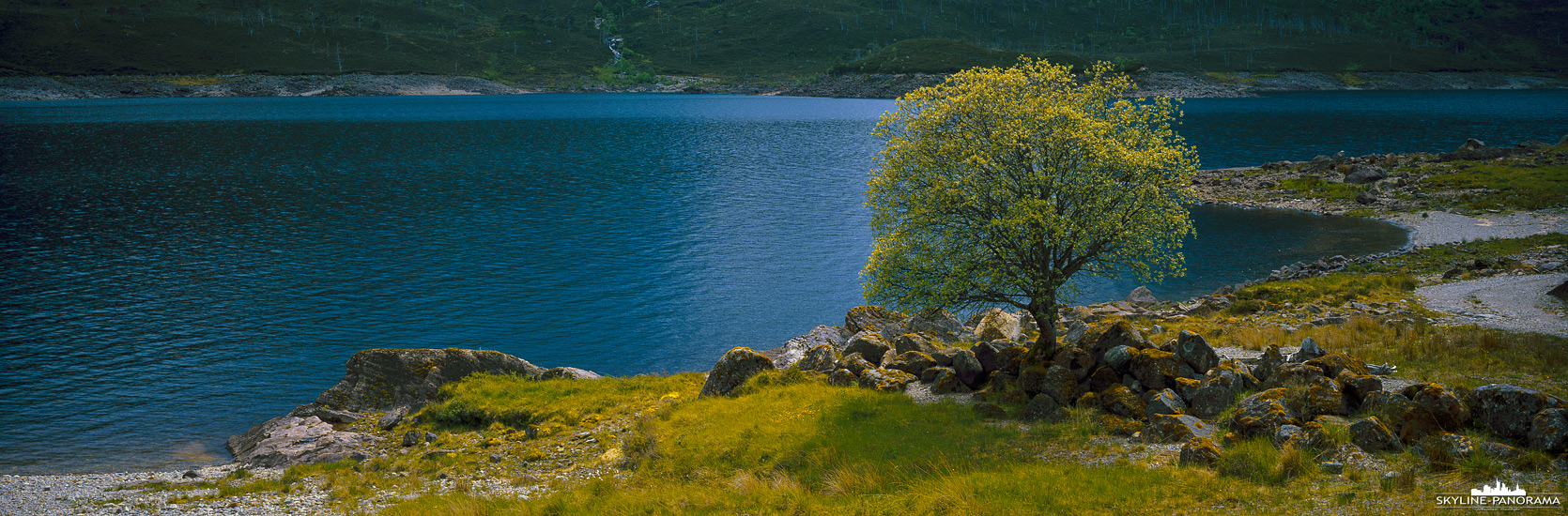 Panorama Schottland - Ein einzelner Baum am Stausee Loch Mullardoch im Tal Glen Cannich in den schottischen Highlands.
