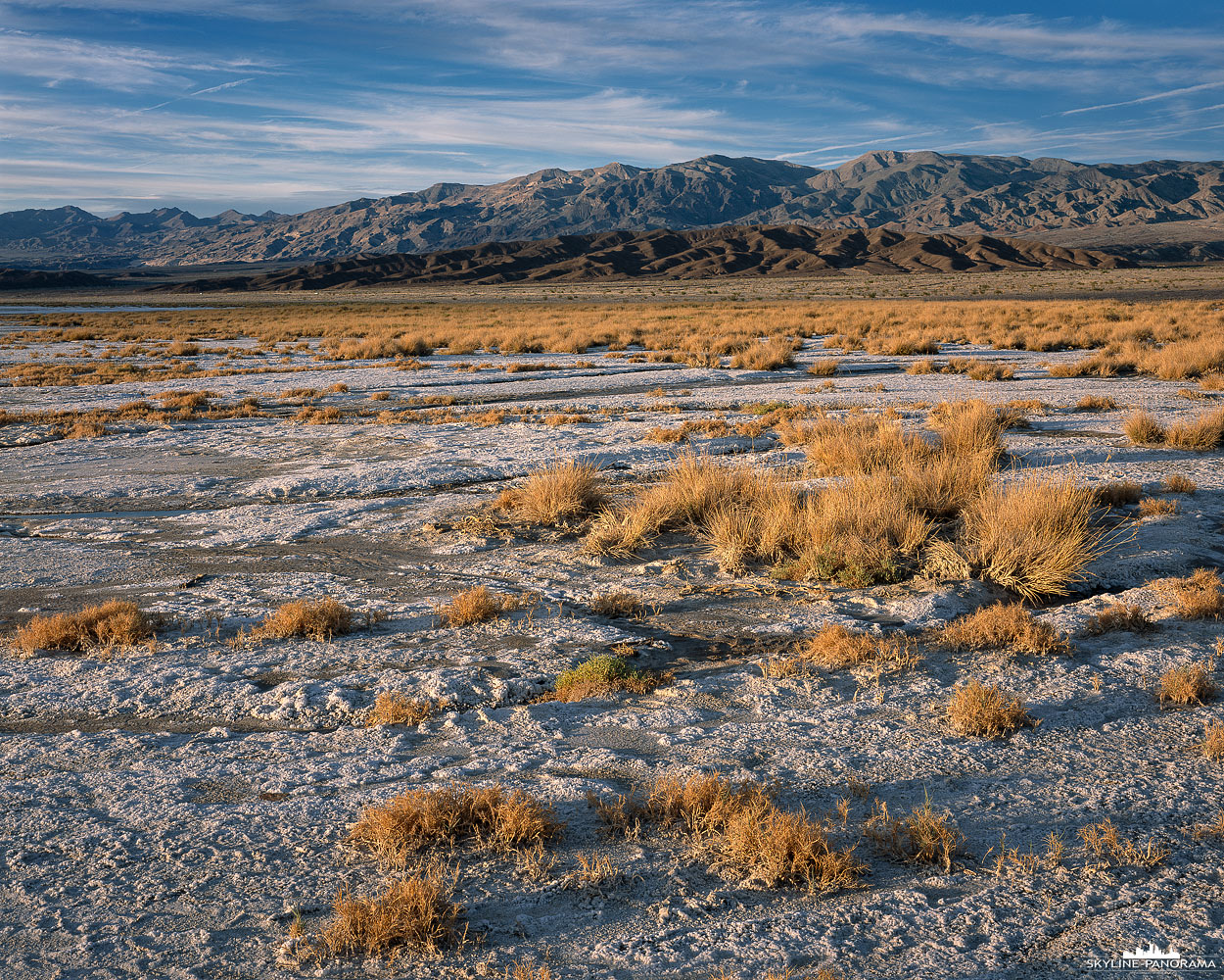 Sehenswertes aus dem Death Valley Nationalpark in Kalifornien - Ein paar Meilen hinter Furnace Creek, in östlicher Richtung, erstreckt sich die Salzebene, hier findet man häufig große Flächen an Salzgras in Verbindung mit einigen Abflussrinnen und kleinen Salzseen, in denen sich etwas Salzwasser aus den umliegenden Bergen gesammelt hat. Auf diesem 4x5" Großformatbild habe ich das goldgelbe Salzgras, bei tiefstehender Sonne zum Sonnenuntergang, als Motiv für mich entdeckt.