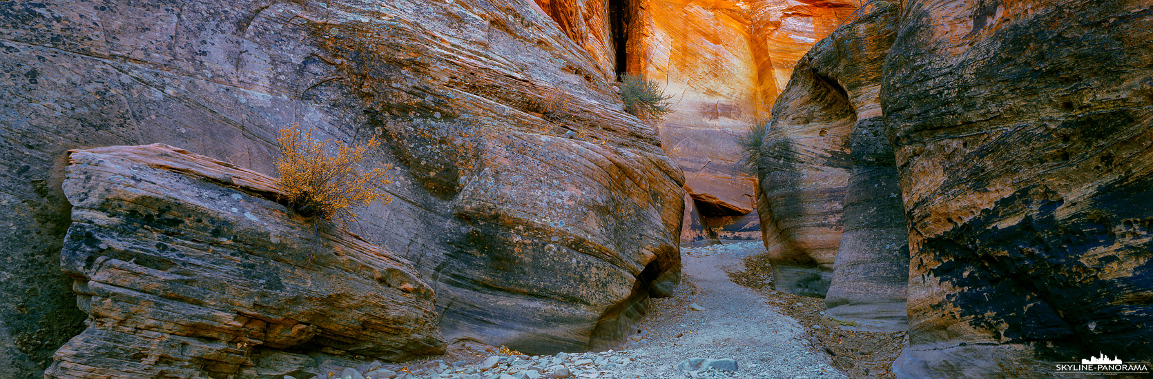 Zion Panoramic - Unterwegs in den Washes im südlichen Teil des Zion Nationalparks. Diese Rinnen füllen sich bei Starkregen schnell mit dem abfließenden Regenwasser, der Aufenthalt kann dabei sehr gefährlich werden. Die umliegenden, oft mehrere hundert Meter hohen, Sandsteinwände reflektieren das Sonnenlicht und tauchen die Szenerie in ein warmes Licht.