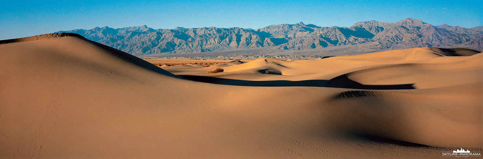 Sehenswürdigkeiten im Death Valley Nationalpark - Die großen Sanddünen der Mesquite Ebene befinden sich im nördlichen Teil des Death Valleys, hier ist ein kleiner Ausschnitt der Dünen zum Sonnenuntergang im Panoramaformat zu sehen. Vom Parkplatz aus erreicht man die ersten Ausläufer der  Mesquite Flats Sand Dunes fast unmittelbar, wenn man jedoch mehr Zeit im Gepäck hat, empfiehlt es sich - vorausgesetzt man hat gutes Schuhwerk dabei - ein paar hundert Meter in die Ebene zu wandern um dabei die teilweise recht hohen Sanddünen zu erkunden. Auf Grund der Nähe zu den großen Filmstudios in Los Angeles, waren die Sanddünen bereits mehrfach Filmkulisse für so manchen Blockbuster.