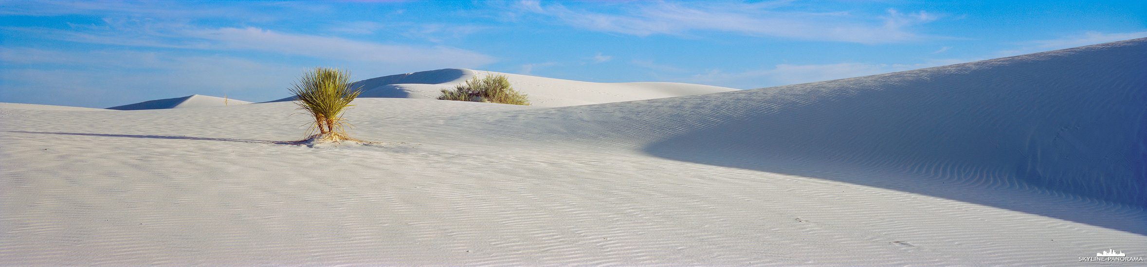 White Sands National Park - 6x24 Panorama (p_01297) 6x24 Panorama White Sands National Park - Dieses Panorama zeigt die charakteristische Dünenlandschaft des White Sands National Park, welche hier in den Nachmittagsstunden von mir festgehalten wurde. Im goldenen Schnitt habe ich hier eine für den Nationalpark typische Yucca Palme platziert, die als markantes Gestaltungsmittel aus der Dünenlandschaft hervortritt. Der White Sand National Park in New Mexico, USA beherbergt das weltweit größte Gipsdünenfeld und zählt zu den eindrucksvollsten Naturkulissen im amerikanischen Südwesten.