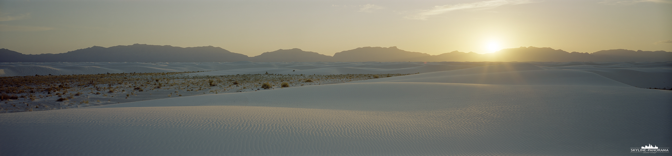 White Sands National Park - New Mexico (p_01298) White Sands Panorama - Dieses 6x24 Panorama zeigt die weitläufigen Dünen des White Sands National Park im Bundesstaat New Mexico zum Sonnenuntergang. Der Blick in die tiefstehende Sonne erzeugt eine ruhige und warme Lichtstimmung, bei der die ansonsten weißen Dünen in zurückhaltenden goldenen Pastelltönen erscheinen. Durch das weiche Abendlich treten die sanften Formen und Strukturen der Dünenlandschaft besonders harmonisch hervor. Der White Sands National Park im Süden von New Mexico umfasst des weltweit größte Gipsdünenfeld und zählt zu den außergewöhnlichsten Landschaften des Südwestens der USA.