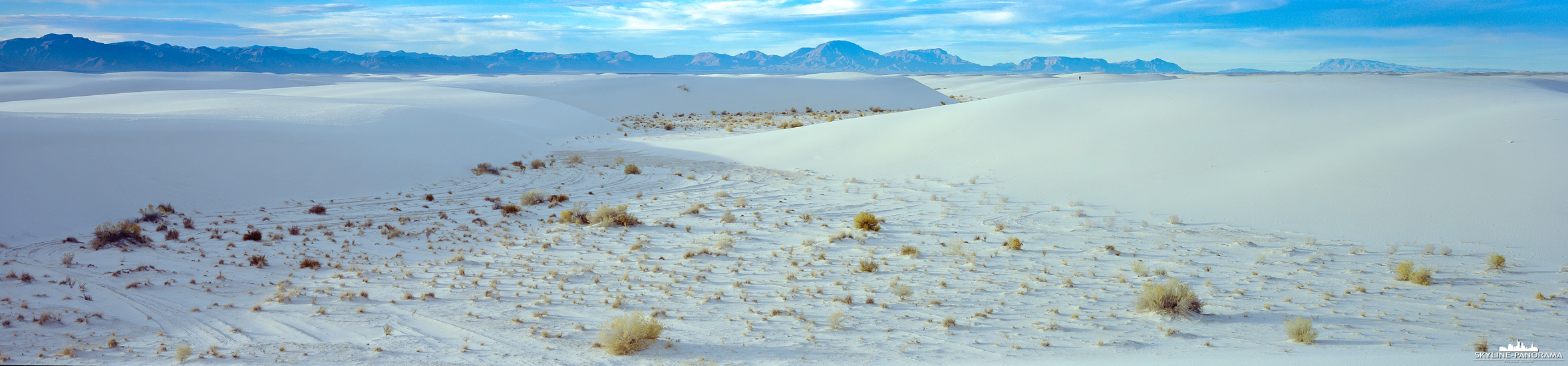 White Sands National Park - Dünen Panorama (p_01299) White Sands National Park in 6x24 - Dieses Panorama im Format 6x24 zeigt die weiten Dünen des White Sands National Park in New Mexico während der frühen Nachmittagsstunden. Zwischen den sanft geschwungenen Dünen rechts und links des Panoramas verläuft ein Band aus typischer Wüstenvegetation. Die kleinen Sträucher setzten dezente Kontraste in der Landschaft des National Parks und unterstreichen die besondere Anpassungsfähigkeit der Pflanzen an die trockenen Bedingungen des amerikanischen Südwestens.